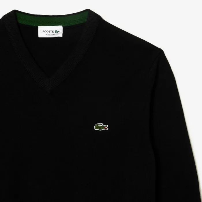 Sweaters and Sweatshirts Men Lacoste Men039s VNeck Organic Cotton Sweater Black 031