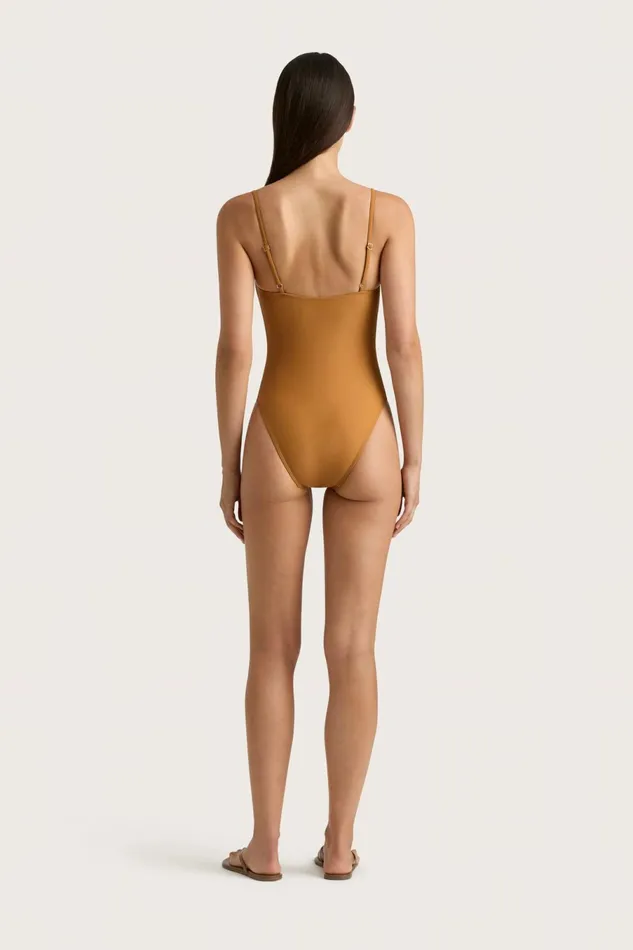 Women Faithfull The Brand Swim Gabriela One Piece Terracotta
