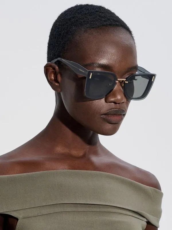 Women Jill Recycled Acetate Geometric Butterfly Sunglasses 8211 Navy CHARLES and KEITH Butterfly