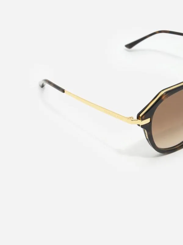 Women Solana Angular Oval Sunglasses 8211 T Shell CHARLES and KEITH Round